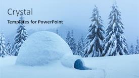  Presentation with house forest - Colorful presentation enhanced with real-snow-igloo-house backdrop and a light blue colored foreground