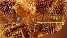  Presentation with honey bee - Audience pleasing PPT layouts consisting of realistic-bee-wax-combs backdrop and a tawny brown colored foreground