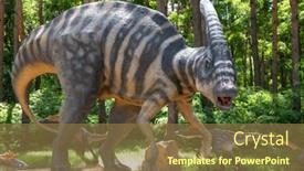  Presentation with realistic - Presentation design having realistic-model-of-a-parasaurolophus background and a coral colored foreground