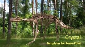  Presentation with realistic - Presentation theme consisting of realistic-model-of-a-skeleton background and a tawny brown colored foreground