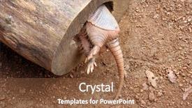  Presentation with diney inside out - Presentation design enhanced with solitary small wooden hermit hut in summer forest background and a tawny brown colored foreground