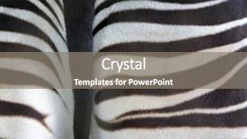  Presentation with psychology end of life - Colorful slide deck enhanced with rear end of an okapi backdrop and a gray colored foreground