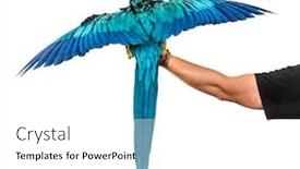  Presentation with blue yellow - PPT theme consisting of rear-view-of-a-blue background and a white colored foreground