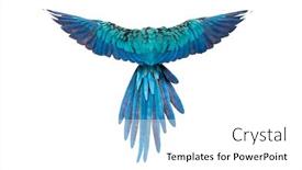  Presentation with blue yellow - Audience pleasing theme consisting of rear-view-of-a-blue backdrop and a white colored foreground