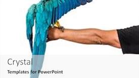  Presentation with blue yellow - Cool new slides with rear-view-of-a-blue backdrop and a white colored foreground