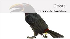  Presentation with white green - PPT theme enhanced with rear-view-of-a-green background and a white colored foreground