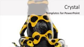  Presentation with bumblebee - Slide deck having christmas composition with presents pink ribbon fir tree and pine cones on wooden background in vintage style with copyspace background and a coral colored foreground