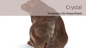  Presentation with old young - Presentation design enhanced with rear-view-of-a-young background and a light gray colored foreground