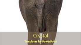  Presentation with elephant - Colorful presentation design enhanced with rear-view-of-an-african backdrop and a tawny brown colored foreground