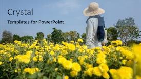  Presentation with stand - Colorful presentation design enhanced with rear-view-of-modern-woman backdrop and a light blue colored foreground