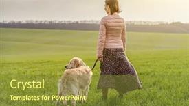  Presentation with leash - Colorful PPT theme enhanced with rear-view-of-woman backdrop and a tawny brown colored foreground