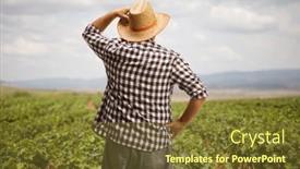  Presentation with shot - PPT layouts with rear-view-shot background and a tawny brown colored foreground