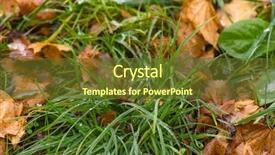  Presentation with spring water - Audience pleasing PPT theme consisting of reborn - melting snow at park backdrop and a tawny brown colored foreground