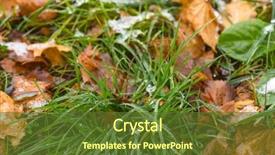  Presentation with white snow - Slide deck enhanced with reborn - melting snow at park background and a tawny brown colored foreground