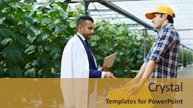  Presentation with harvest - Presentation design with rebuke - young farmer showing agroengineer harvest background and a  colored foreground