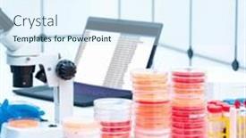  Presentation with dna - PPT theme with recombinant-dna-technology-petri-dishes and a sky blue colored foreground