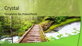  Presentation with forest - Theme featuring recreational park - boardwalk in forest background and a yellow colored foreground