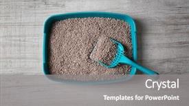  Presentation with cat - Amazing presentation theme having rectangle - cat litter box with scoop backdrop and a gray colored foreground