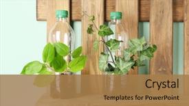  Presentation with recycle plastic - Beautiful theme featuring recycle - wooden shelf with plastic bottles backdrop and a coral colored foreground