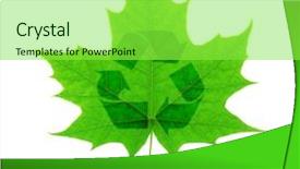  Presentation with maple leaf - Presentation theme having recycle symbol over green maple background and a seafoam green colored foreground