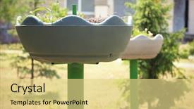  Presentation with tire waste - Theme having recycled tires - beautiful flowerbed made from tire background and a blonde colored foreground