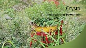  Presentation with decor - Cool new PPT theme with recycled tires - old chair used as garden backdrop and a  colored foreground