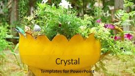  Presentation with tire - PPT theme having recycled tires - old tire used as flowerbed background and a  colored foreground