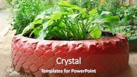  Presentation with tire - Slide set having recycled tires - old tire used as flowerbed background and a  colored foreground