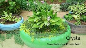  Presentation with tire waste - Cool new slide set with recycled tires - old tire used as flowerbed backdrop and a  colored foreground