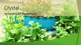  Presentation with tire - Audience pleasing presentation theme consisting of recycled tires - old tire used as flowerbed backdrop and a  colored foreground