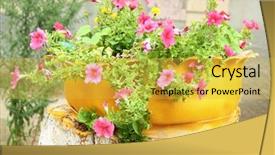  Presentation with tire - Cool new presentation design with recycled tires - old tire used as flowerbed backdrop and a  colored foreground