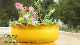  Presentation with tire - Presentation theme consisting of recycled tires - old tire used as flowerbed background and a  colored foreground