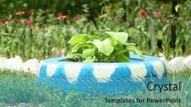  Presentation with tire - Amazing presentation design having recycled tires - old tire used as flowerbed backdrop and a  colored foreground