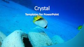  Presentation with environmental pollution - Beautiful slide deck featuring recycled tires - pollution in ocean environmental problem backdrop and a dark gray colored foreground