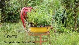  Presentation with decor - Amazing presentation having recycling furniture - old chair used as garden backdrop and a  colored foreground