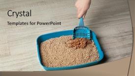  Presentation with cleaning - Amazing slide set having recycling pet - female hand cleaning cat litter backdrop and a light gray colored foreground