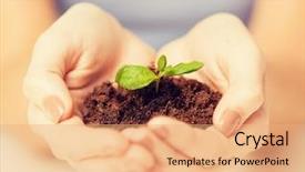  Presentation with sprout - Slide set consisting of recycling pictures - picture of woman hands background and a coral colored foreground