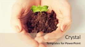  Presentation with sprout - Audience pleasing presentation consisting of recycling pictures - picture of woman hands backdrop and a coral colored foreground