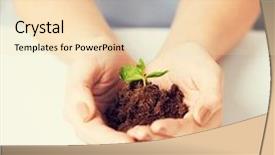  Presentation with sprout - Amazing PPT theme having recycling pictures - picture of woman hands backdrop and a lemonade colored foreground