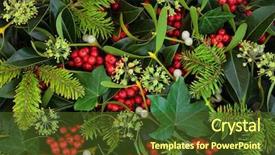  Presentation with holly - Beautiful slide deck featuring red - holly ivy and mistletoe christmas backdrop and a tawny brown colored foreground