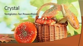  Presentation with green red bank - Presentation enhanced with red amanitas in basket on green background background and a soft green colored foreground