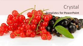  Presentation with currant - 