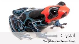  Presentation with poison - PPT theme enhanced with red and black poison dart background and a white colored foreground