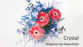  Presentation with blue flower - Presentation theme consisting of red and blue flower bouquet background and a white colored foreground