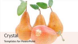  Presentation with red gold white - Slides enhanced with red-and-gold-pears-isolated background and a coral colored foreground