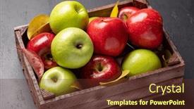  Presentation with green apples - PPT theme with red-and-green-garden-apples background and a tawny brown colored foreground