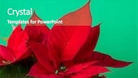  Presentation with teal - Slides enhanced with christmas isolated on green teal background and a teal colored foreground