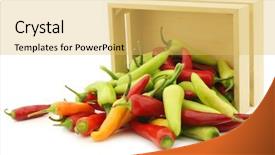  Presentation with capsicum - Audience pleasing slides consisting of red and green rawit peppers capsicum annuum 'bird's eye' in a wooden box on a white background backdrop and a yellow colored foreground