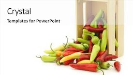  Presentation with capsicum - Slides enhanced with red and green rawit peppers capsicum annuum 'bird's eye' in a wooden box on a white background background and a white colored foreground