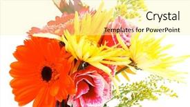  Presentation with red gold white - Beautiful theme featuring red and orange gerbera rose and gold mums flowers in bouquet isolated over pure white background backdrop and a blonde colored foreground